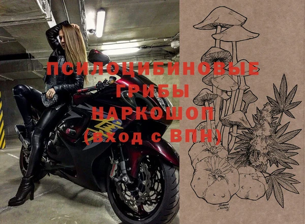 спиды Надым