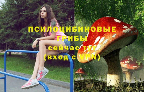 эйфоретик Навашино