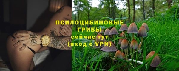 спиды Надым