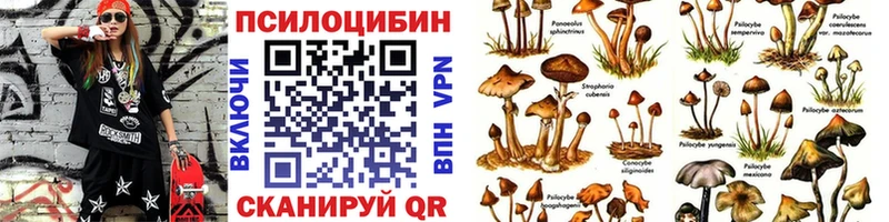 купить наркотики цена Сыктывкар Псилоцибиновые грибы Psilocybe
